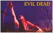 [Evil Dead] US Postcards